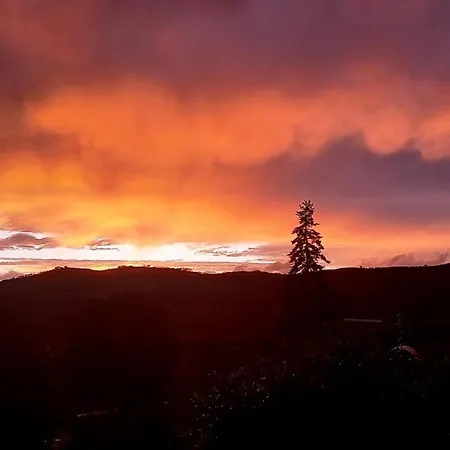 Casa Intera Con Giardino Vakantiehuis Mantignana