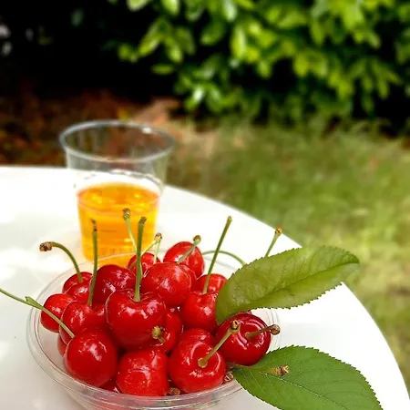 Casa Intera Con Giardino