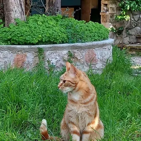 Casa Intera Con Giardino Сasa de vacaciones Mantignana