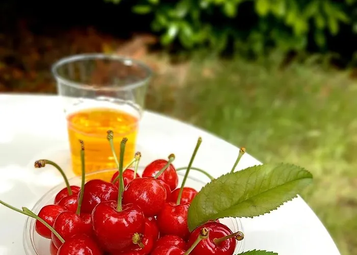 Casa Intera Con Giardino